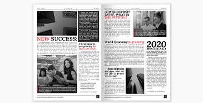 Newsletter of Wayout